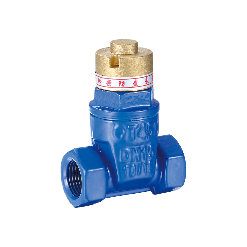 صمام بوابة مغناطيسي مضاد للسرقة من الحديد الزهر العقدي YH-1002